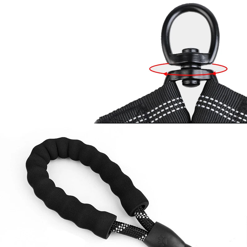 Double Bungee Rope Lead
