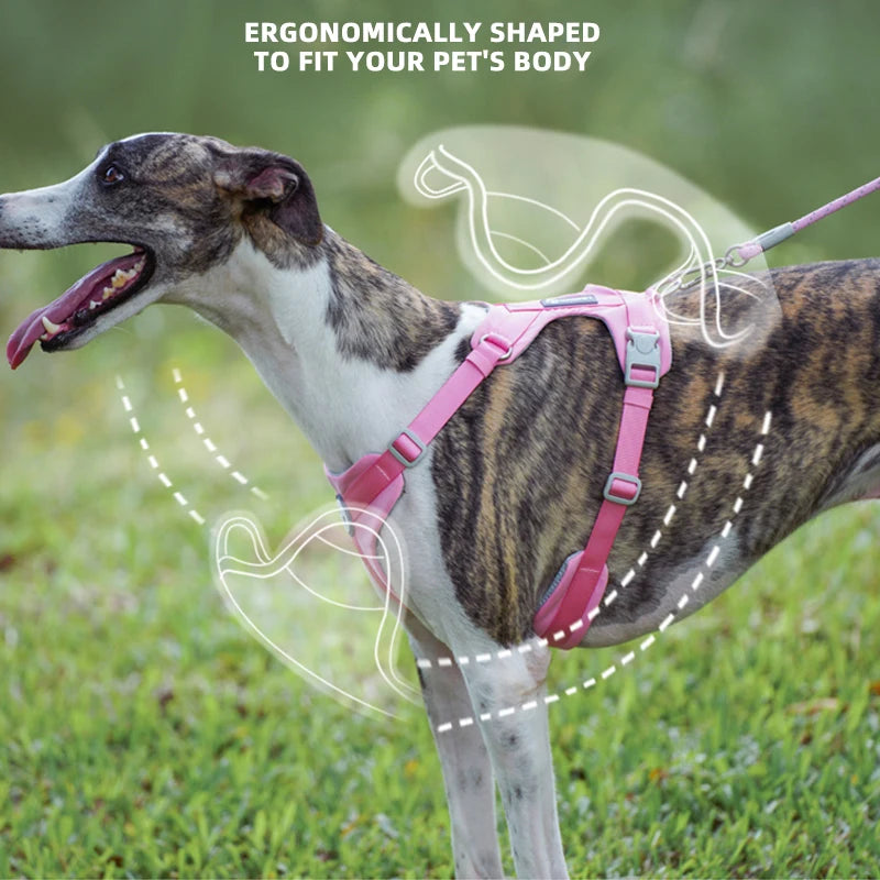No-Pull Breathable Dog Harness